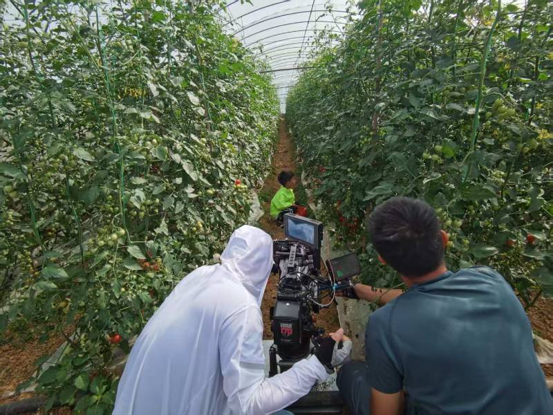 关岭产品宣传视频拍摄公司进阶指南，助力品牌抢占传播高地